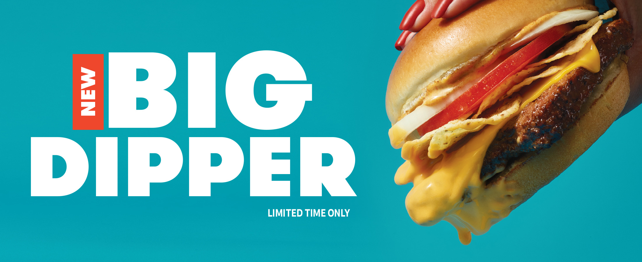 BigDipper-Website-2200x900